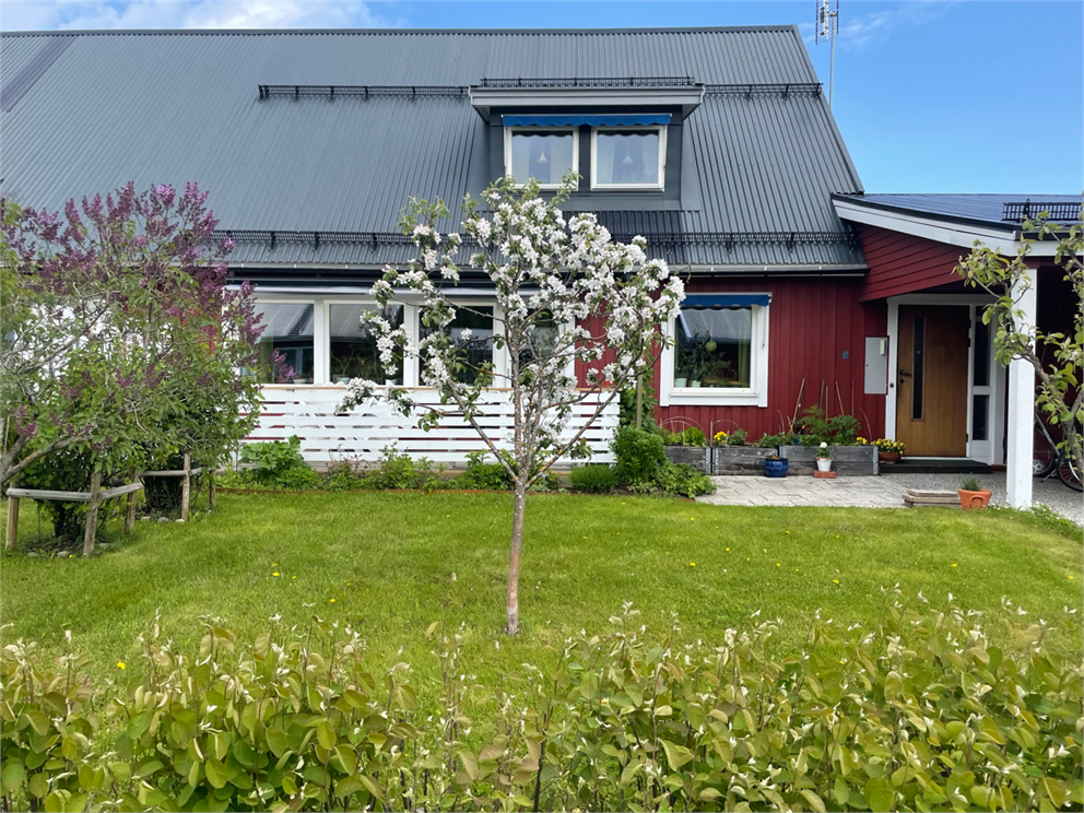 Säljarnas sommarbild