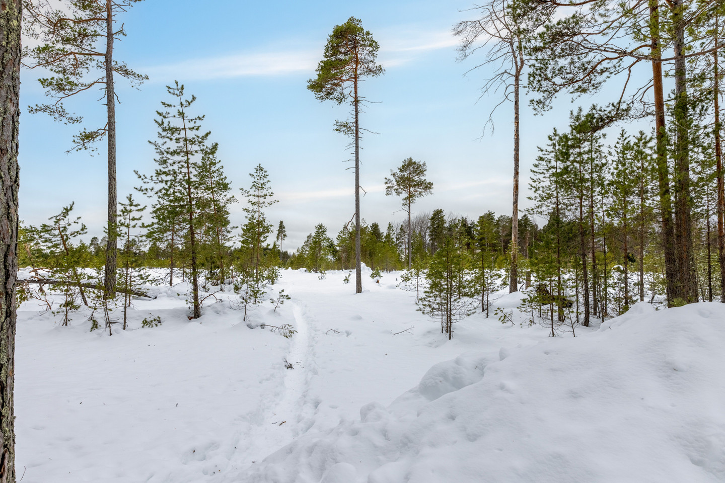 Tomt på Näsuddsvägen