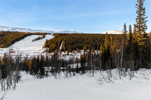 Bydalen 411