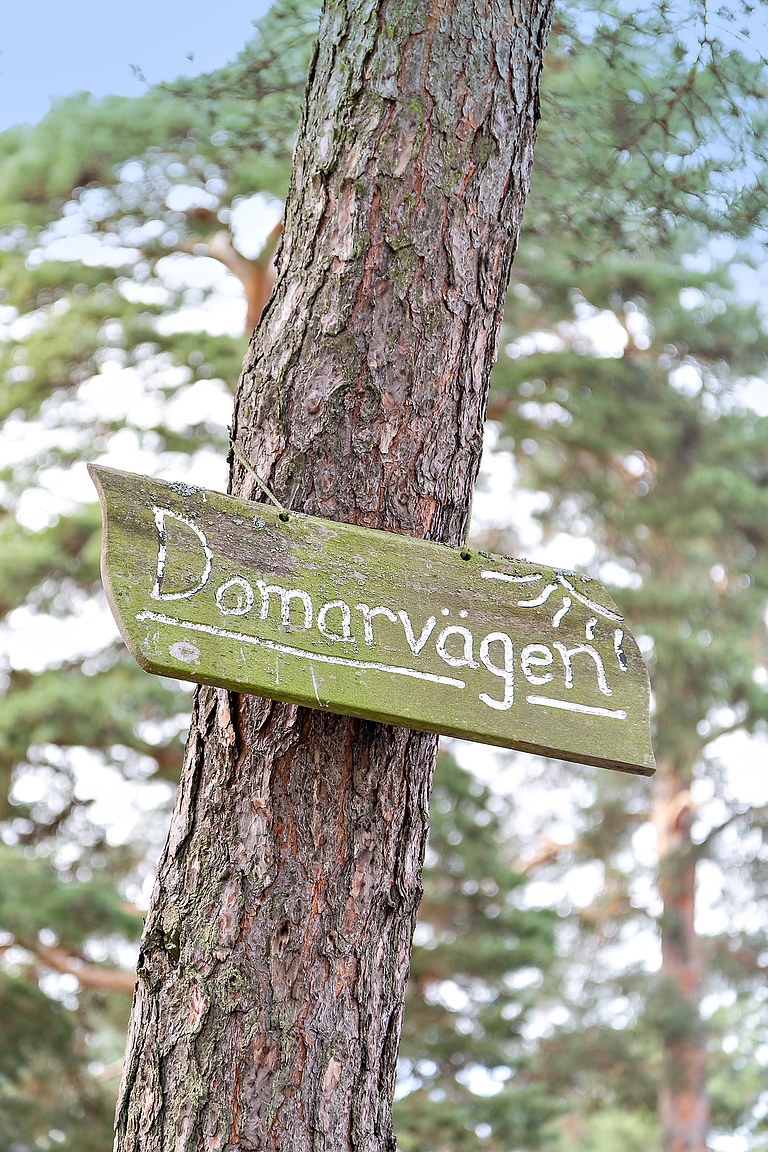 Domarvägen 1 – bild 19