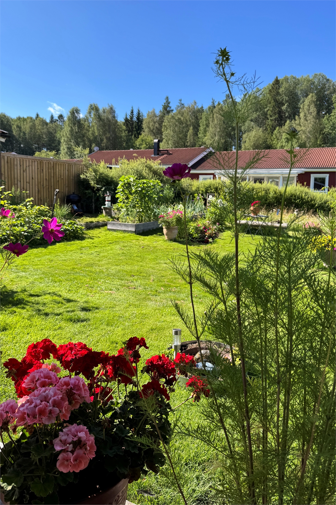 Wibergs väg 4 – bild 8