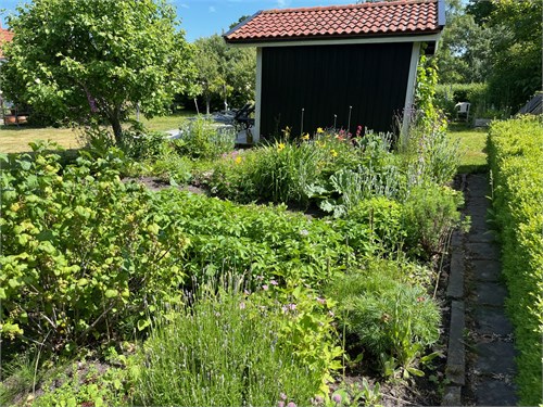 Säljarens egna bild