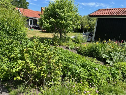 Säljarens egna bild