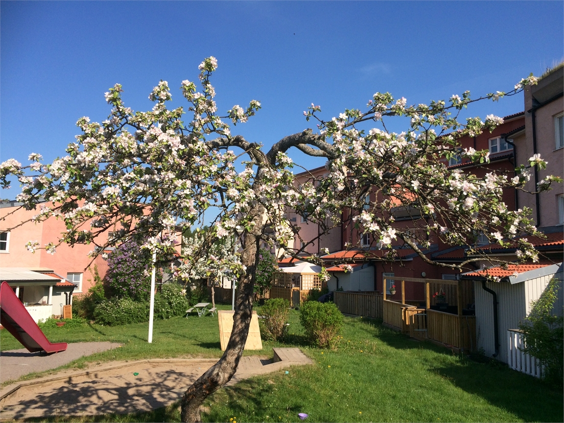 Travgatan 41 – bild 30