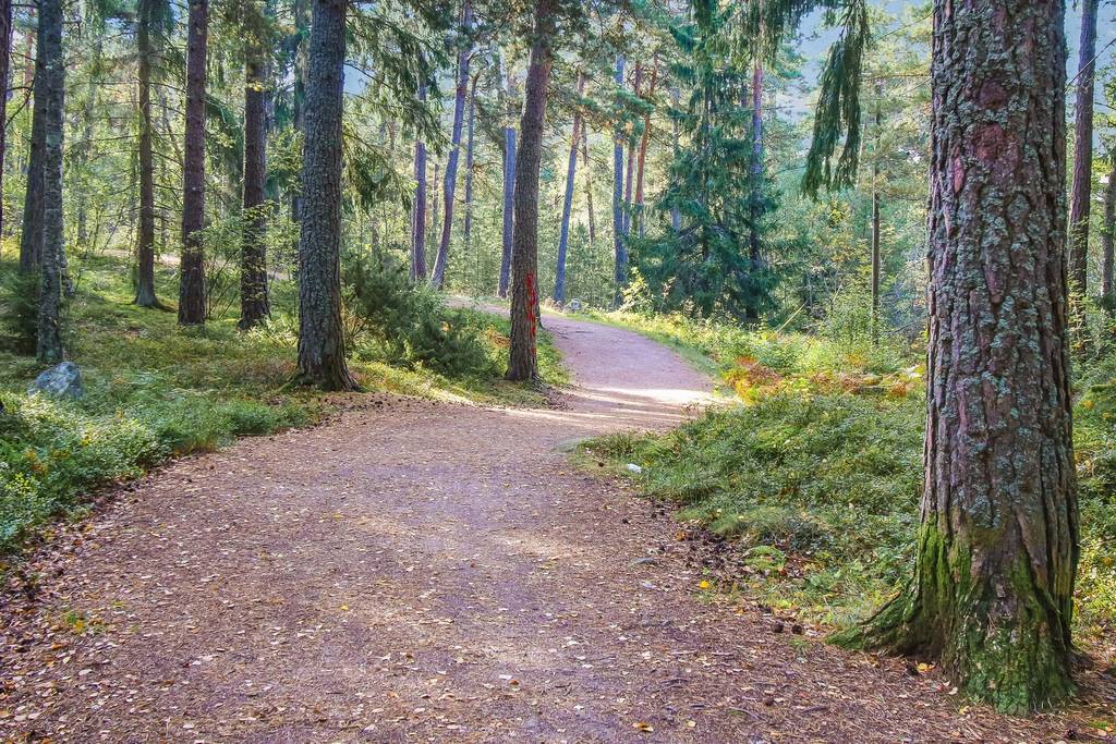 Travgatan 41 – bild 36