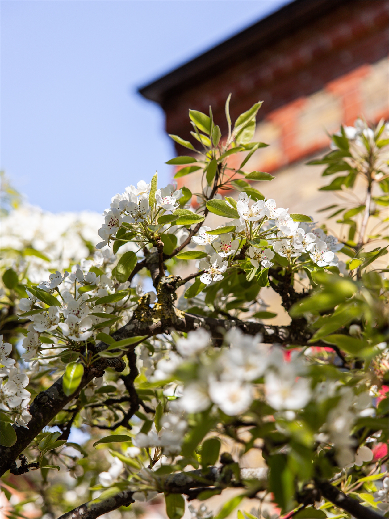 Idrottsgatan 4 – bild 13