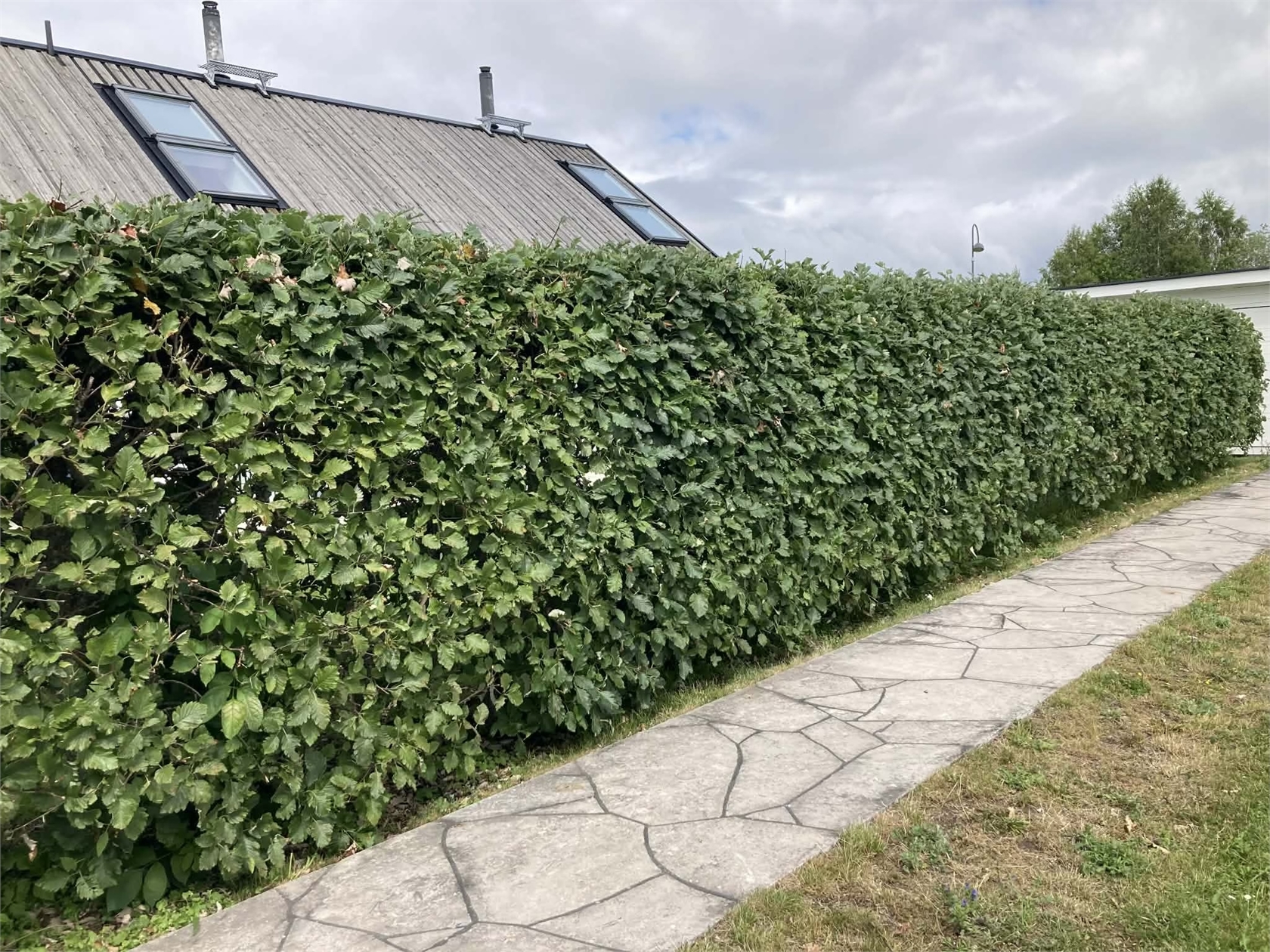 Burgsvik - Våradonisvägen 5D – bild 31