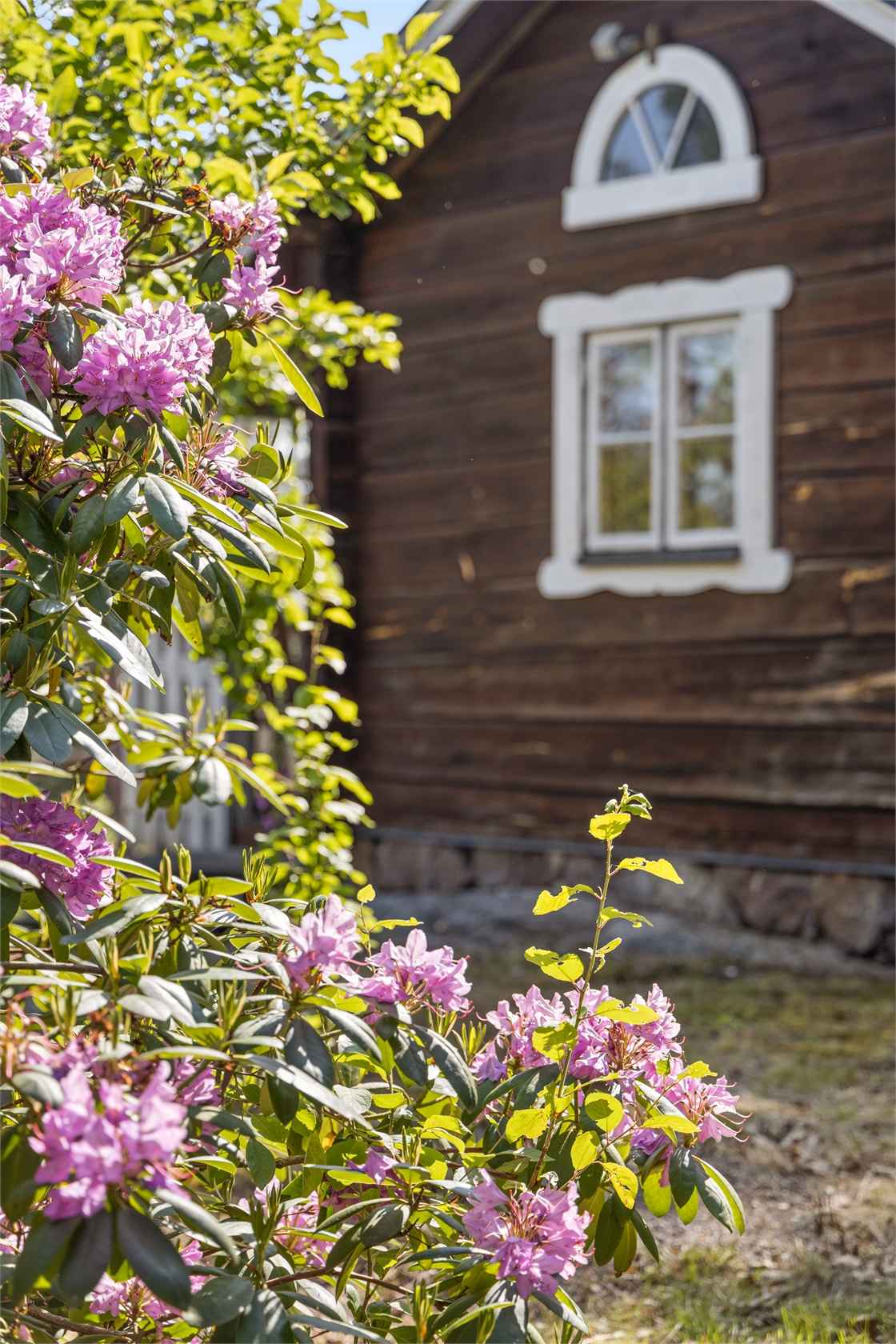 Murgrönevägen 54 – bild 6
