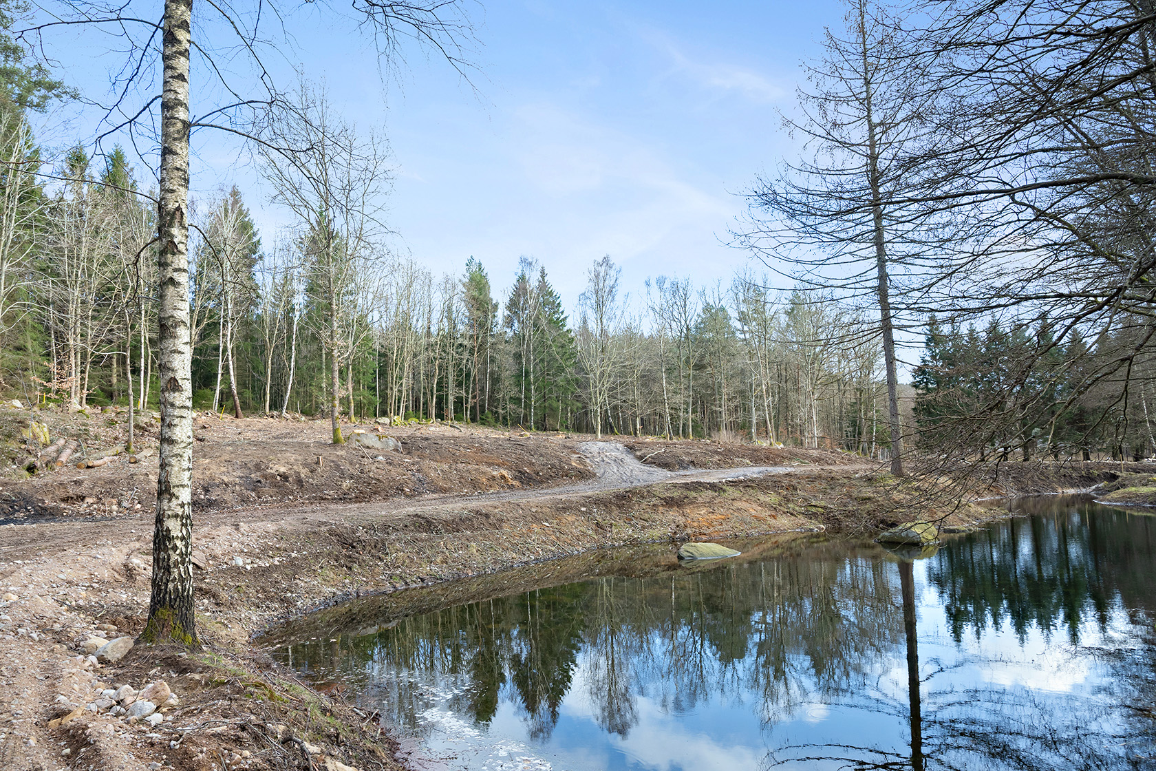 Risarp Skogsbrynet 447 – bild 2