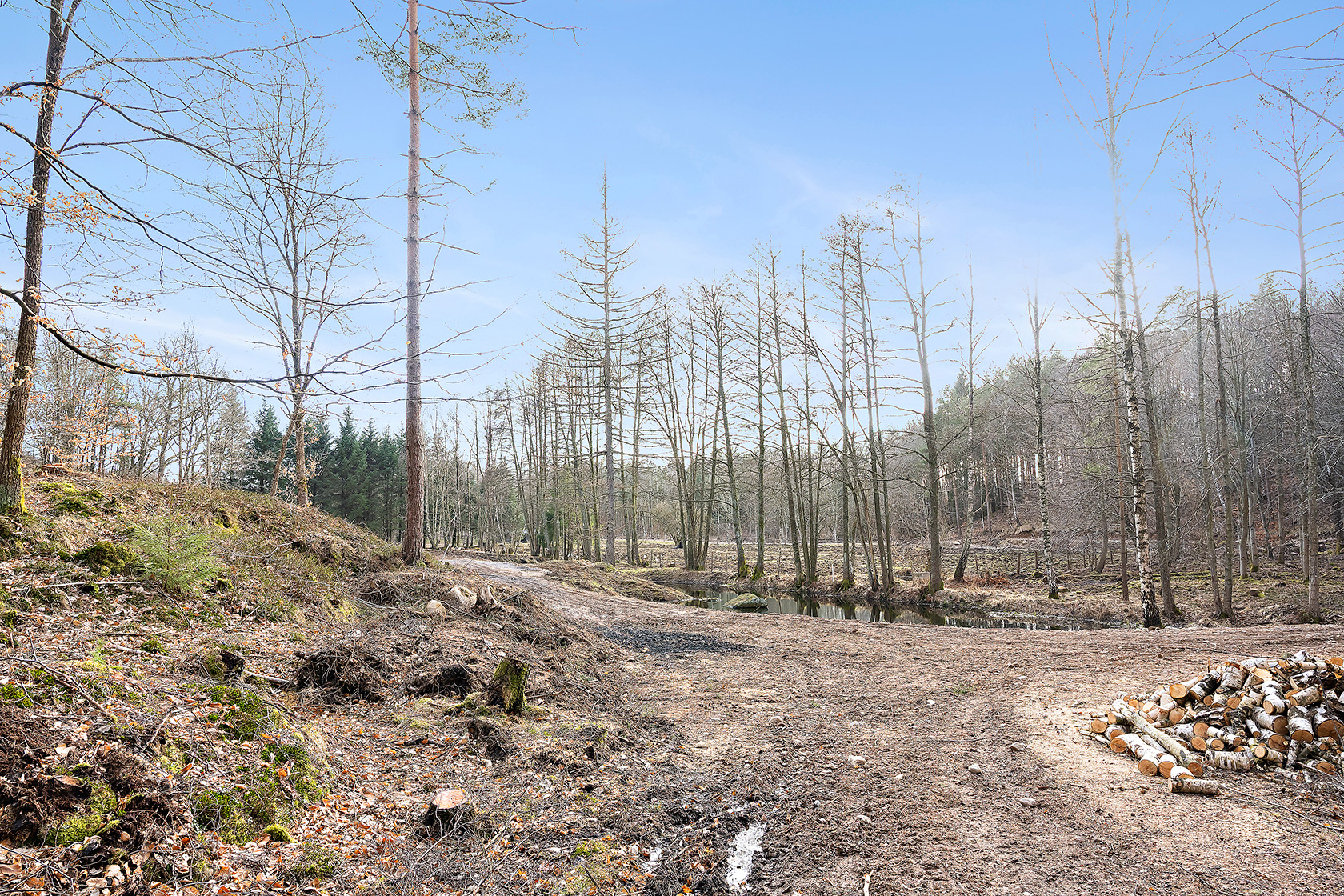 Risarp Skogsbrynet 447 – bild 5