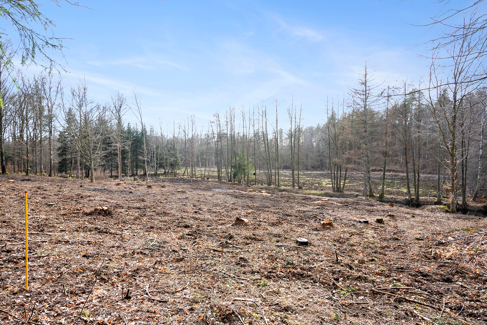 Risarp Skogsbrynet 447 – bild 6