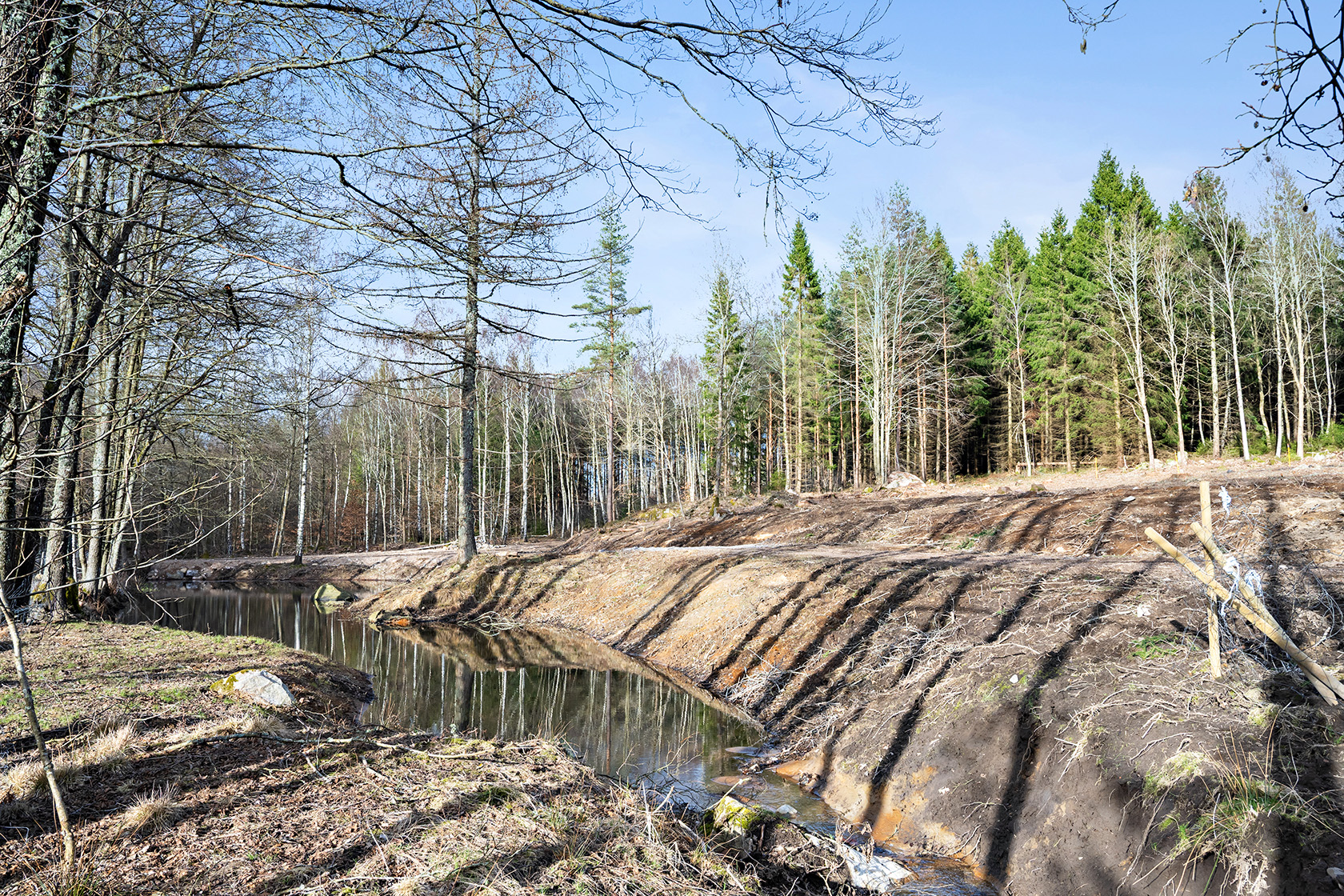 Risarp Skogsbrynet 447 – bild 10