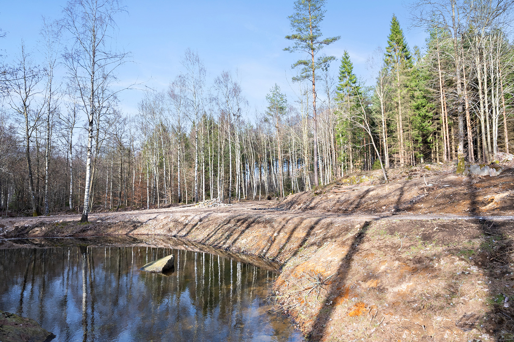 Risarp Skogsbrynet 447 – bild 11