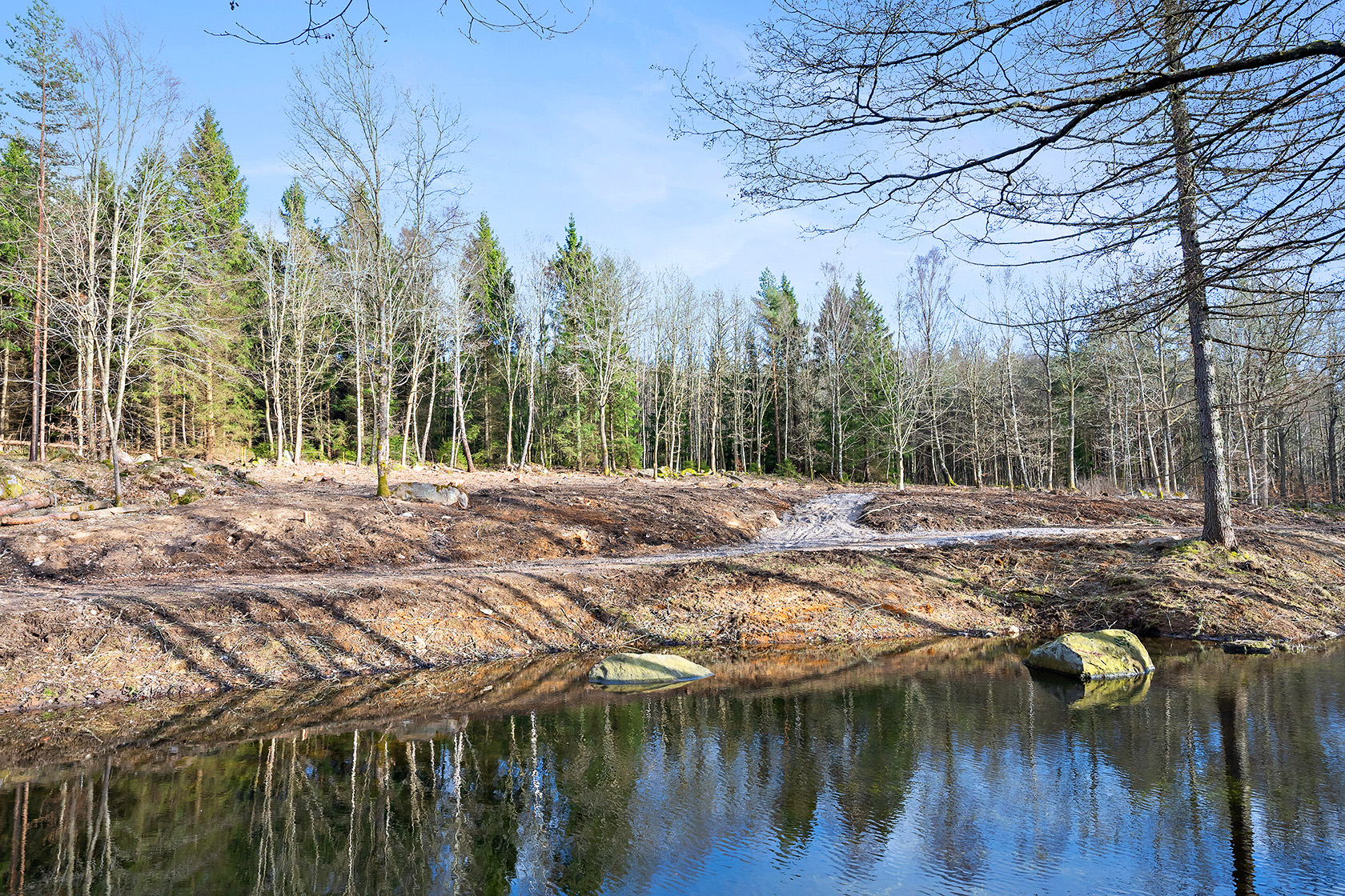 Risarp Skogsbrynet 447 – bild 12