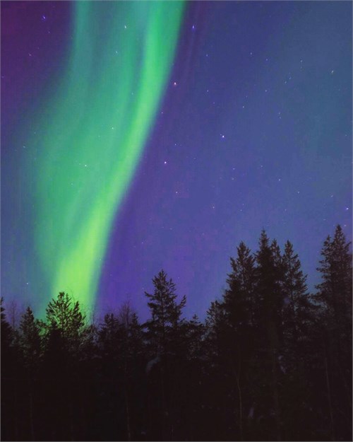 Säljarens privata bild