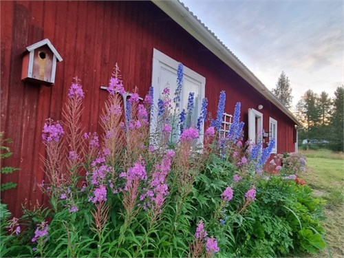 Säljarens privata bild