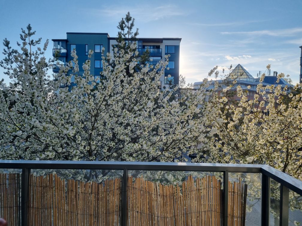 Silverdals Torg 9 – bild 2