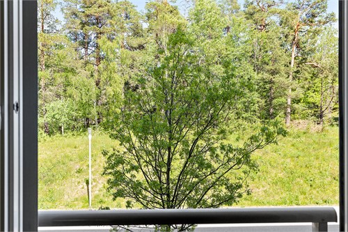 12385838_16-328-16_photo_web.jpg