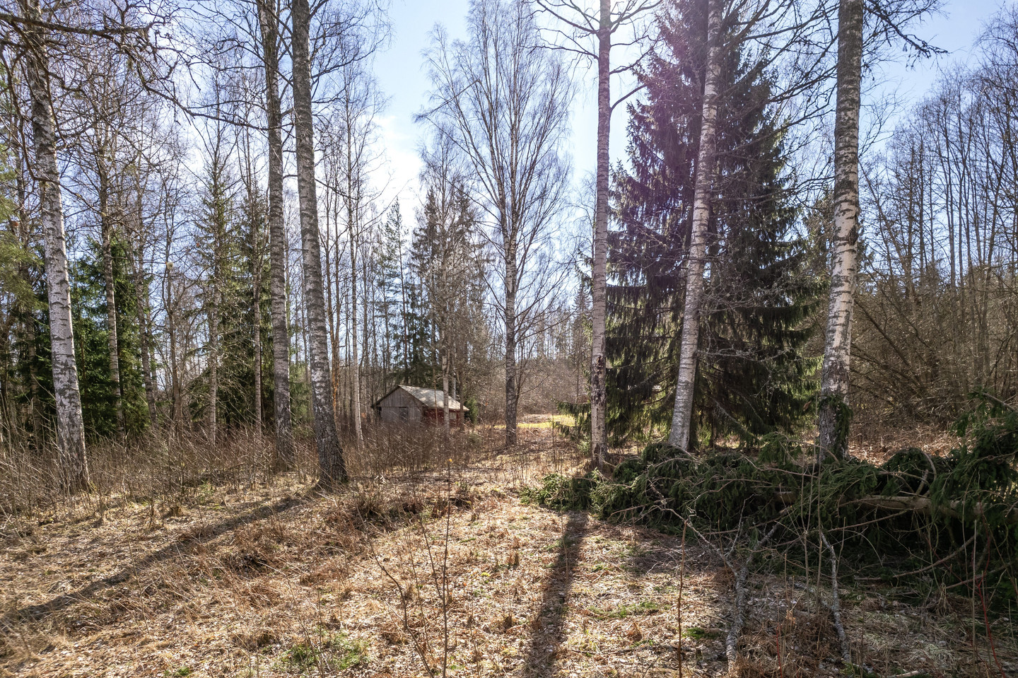 Fäggeby 126 – bild 7