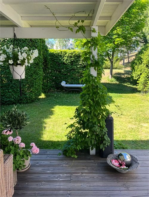 Säljarens egen bild