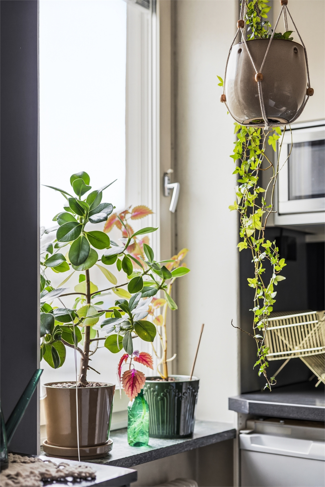 Nelinsgatan 30 – bild 7