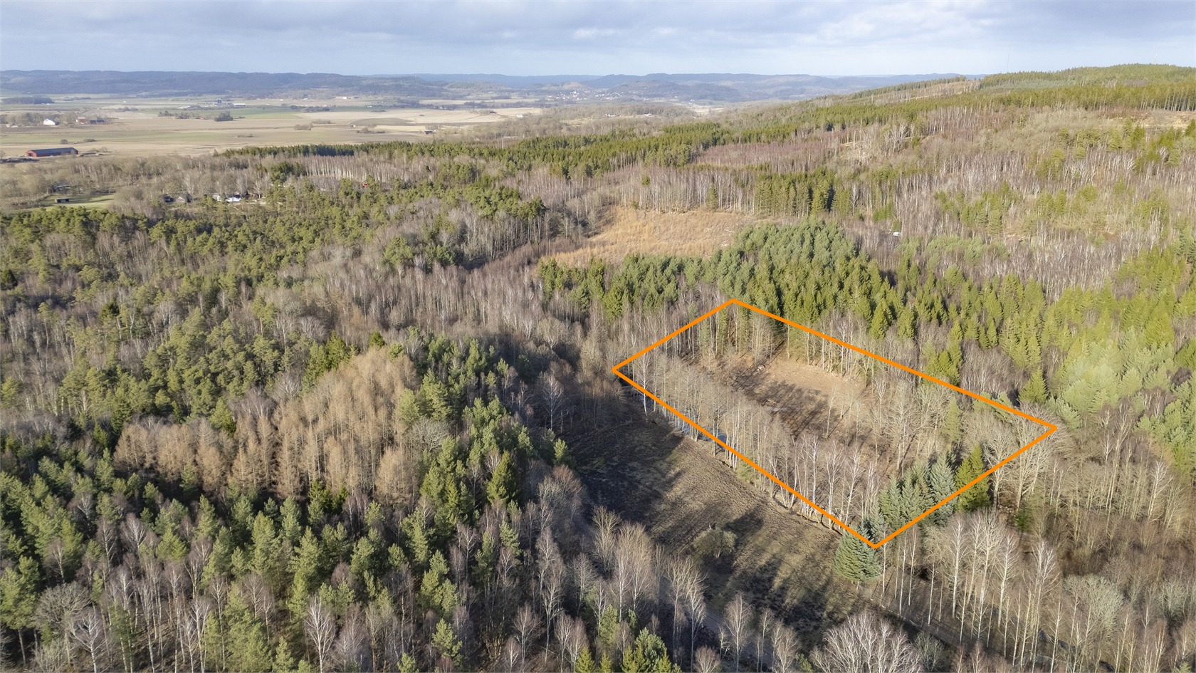 Risarp Skogsbrynet 447 – bild 3