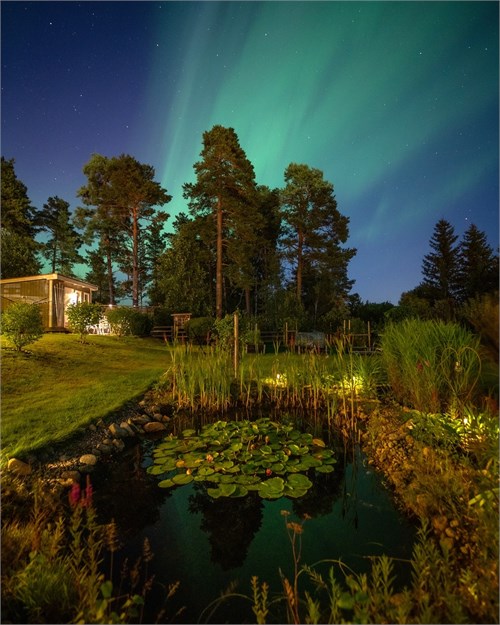 Säljarens egna bild