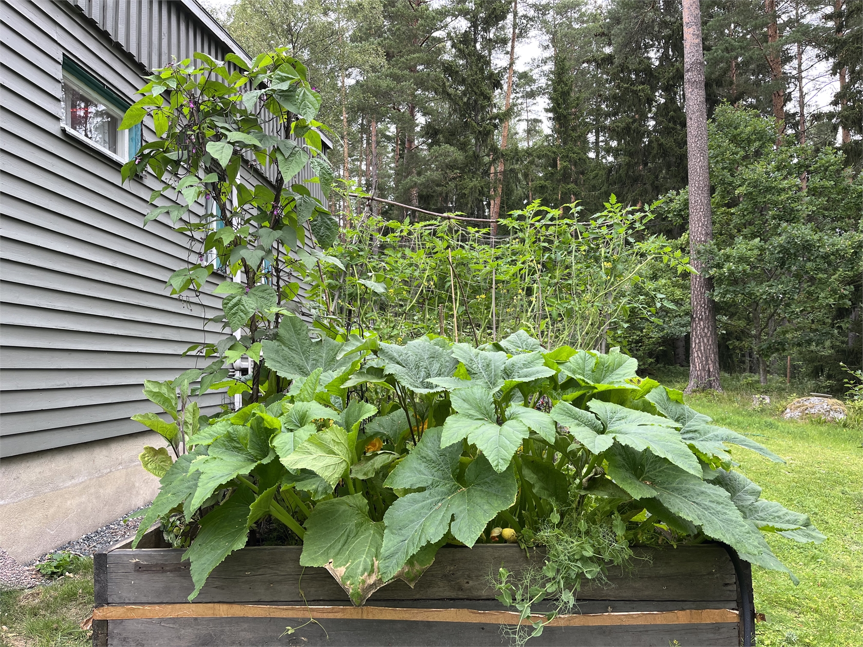 Esmansbol 14 – bild 30