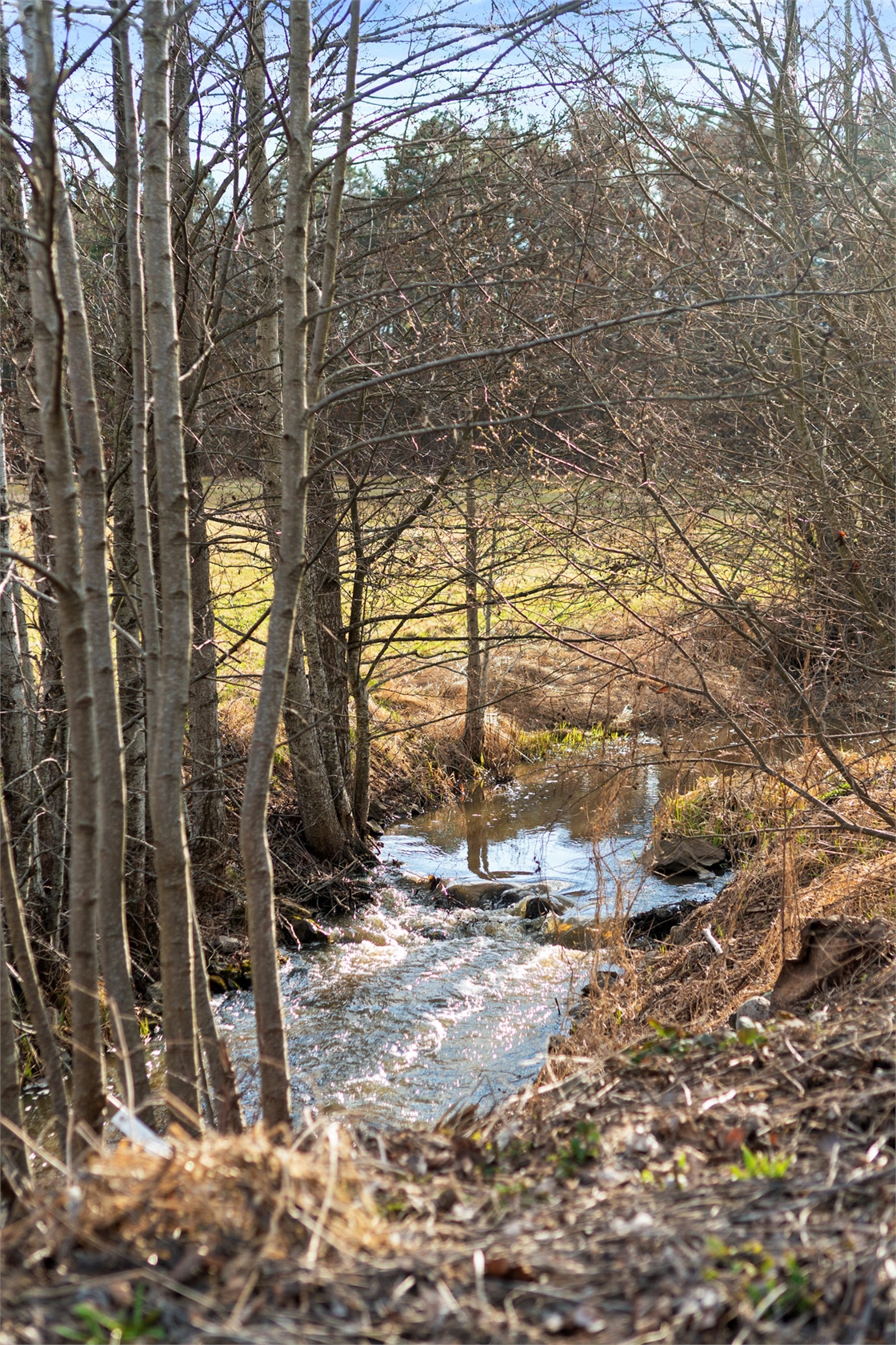Petterstorp 6A – bild 34