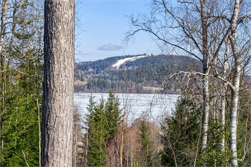 Sandviken 217