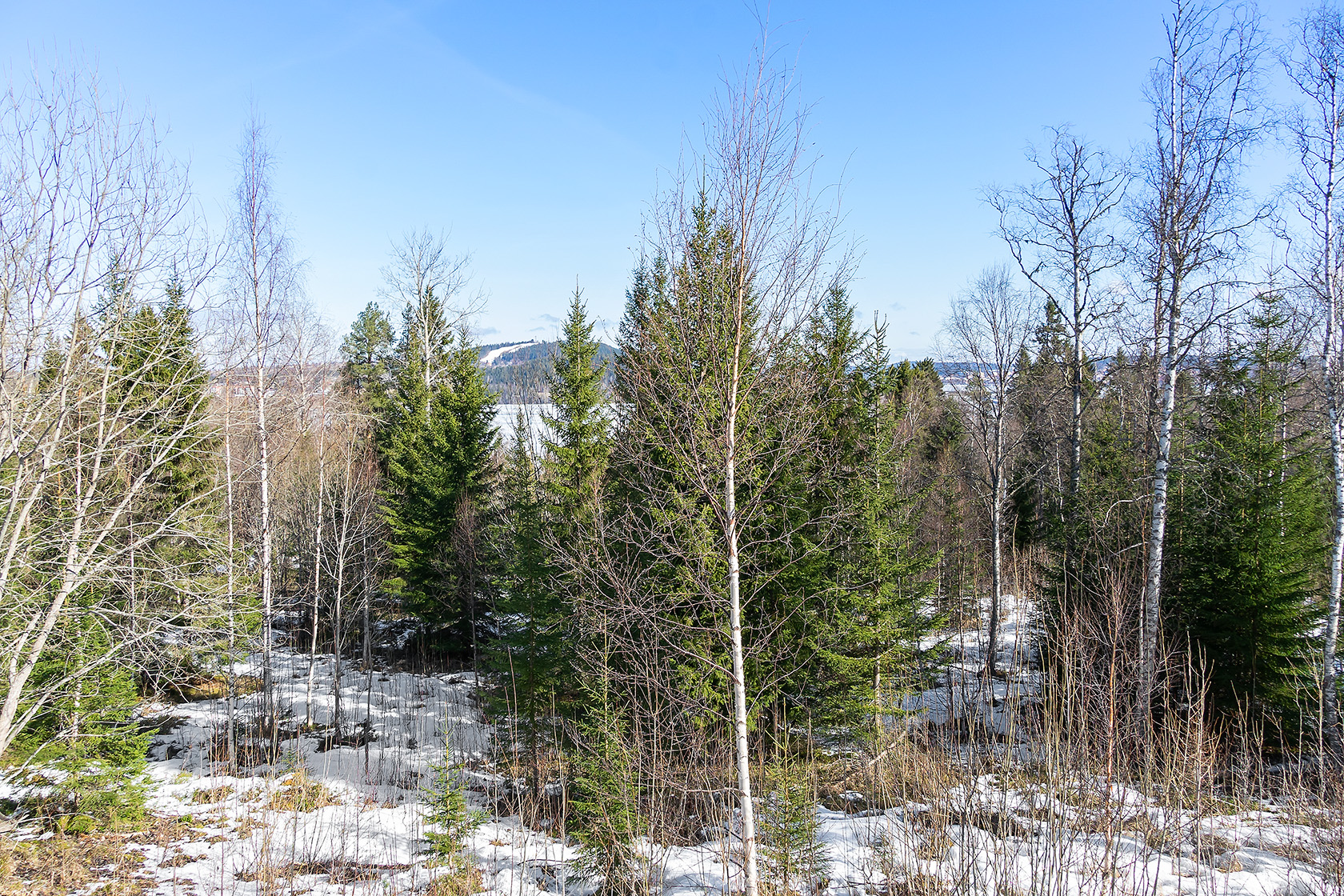 Sandviken 217 – bild 2