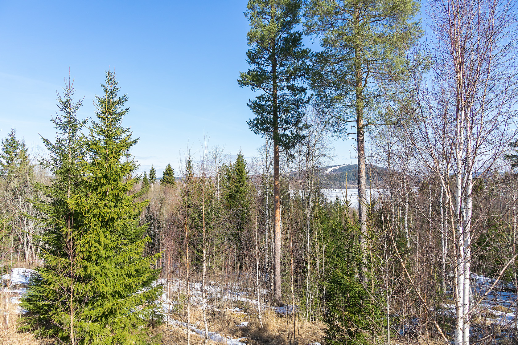 Sandviken 217 – bild 4