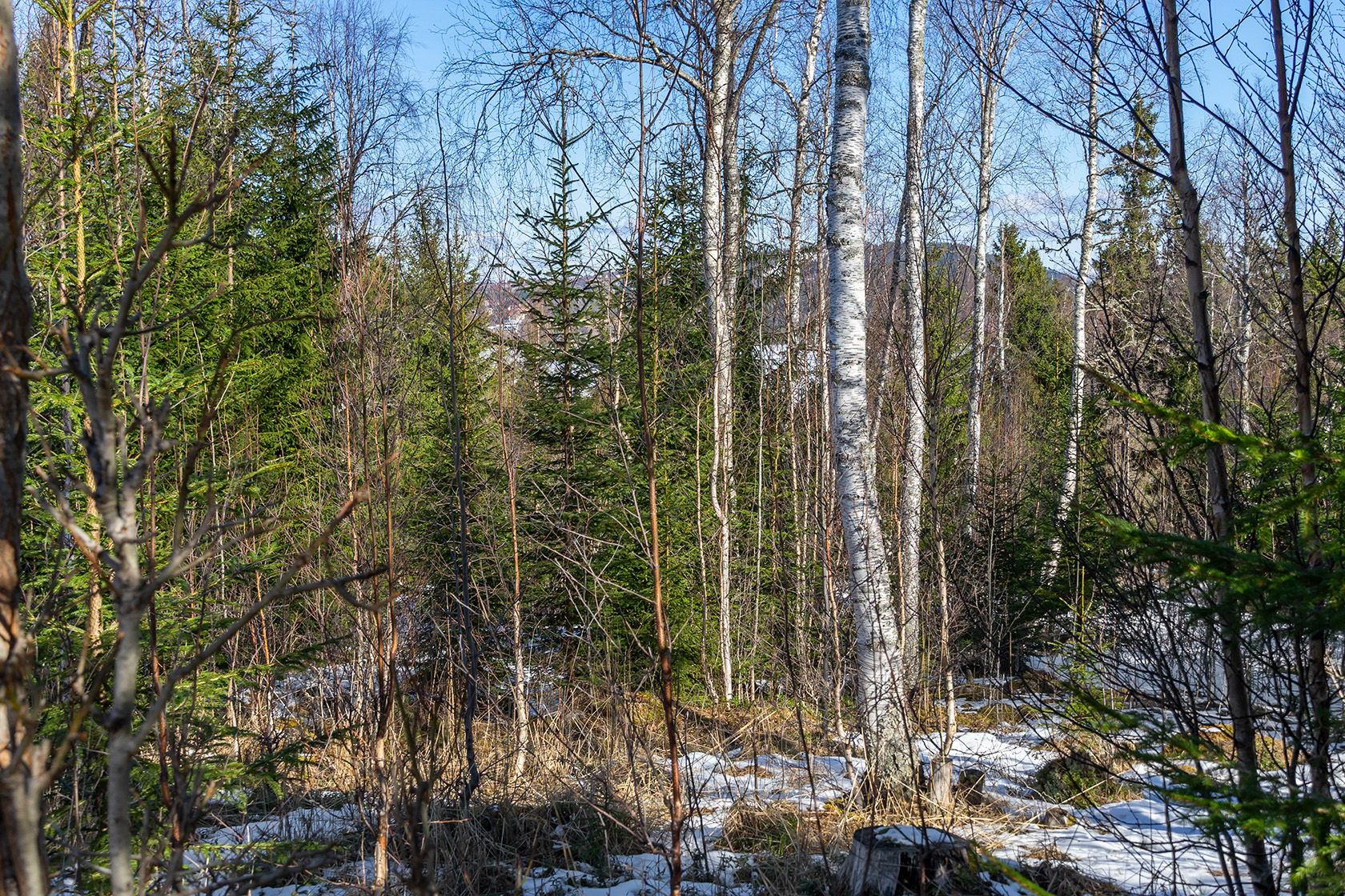 Sandviken 217 – bild 3