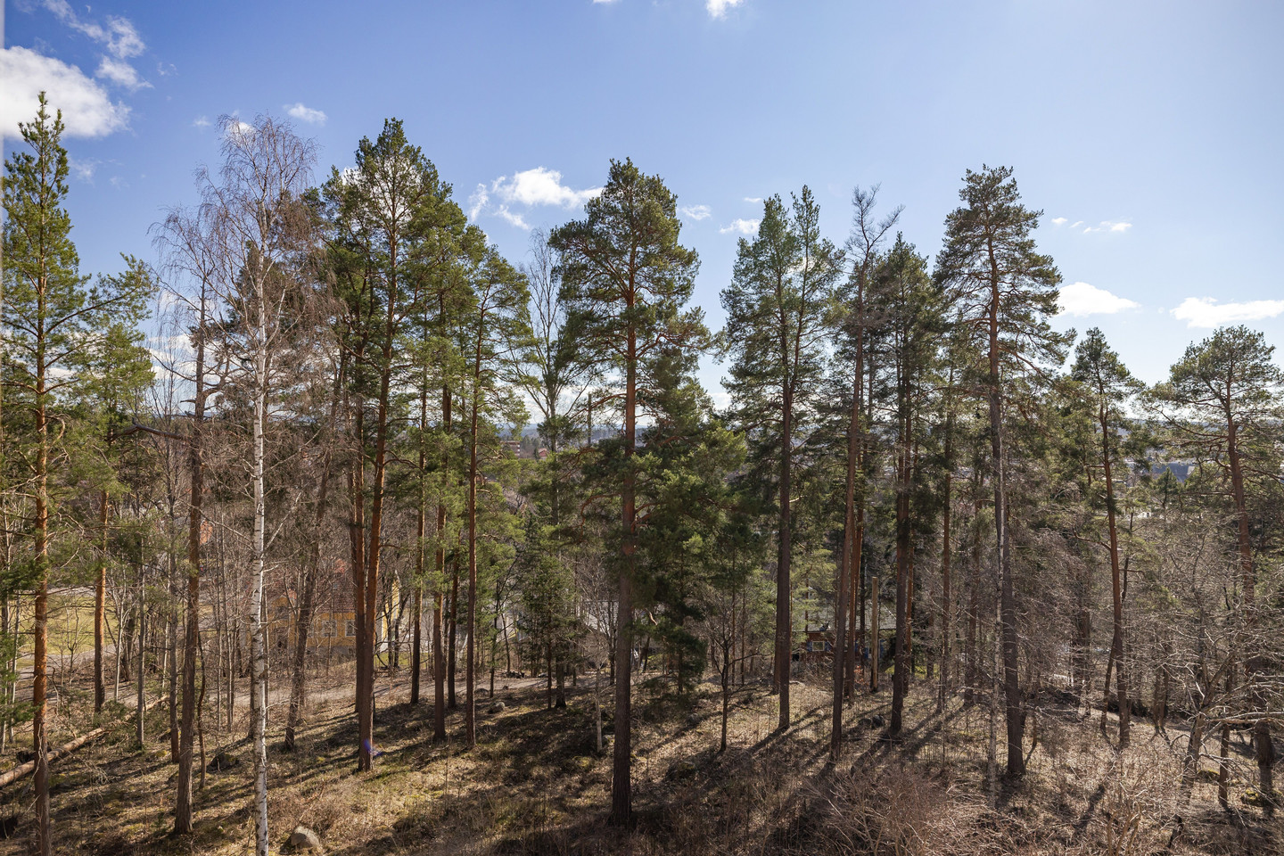 Lustigknoppsvägen 5B – bild 17