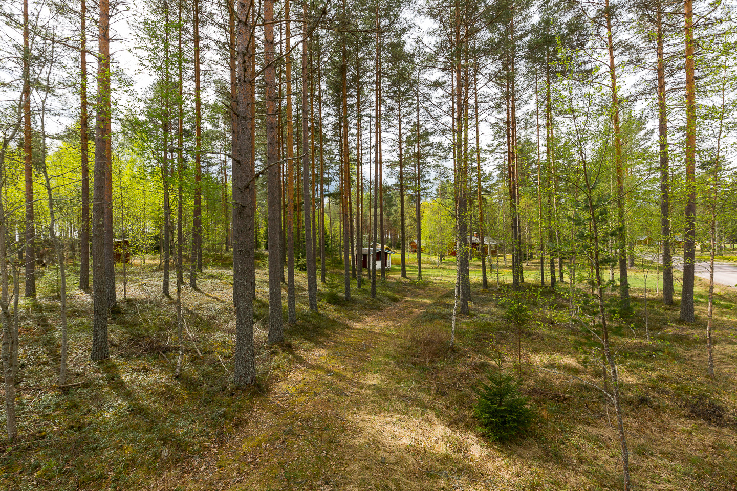 Hedås – bild 7