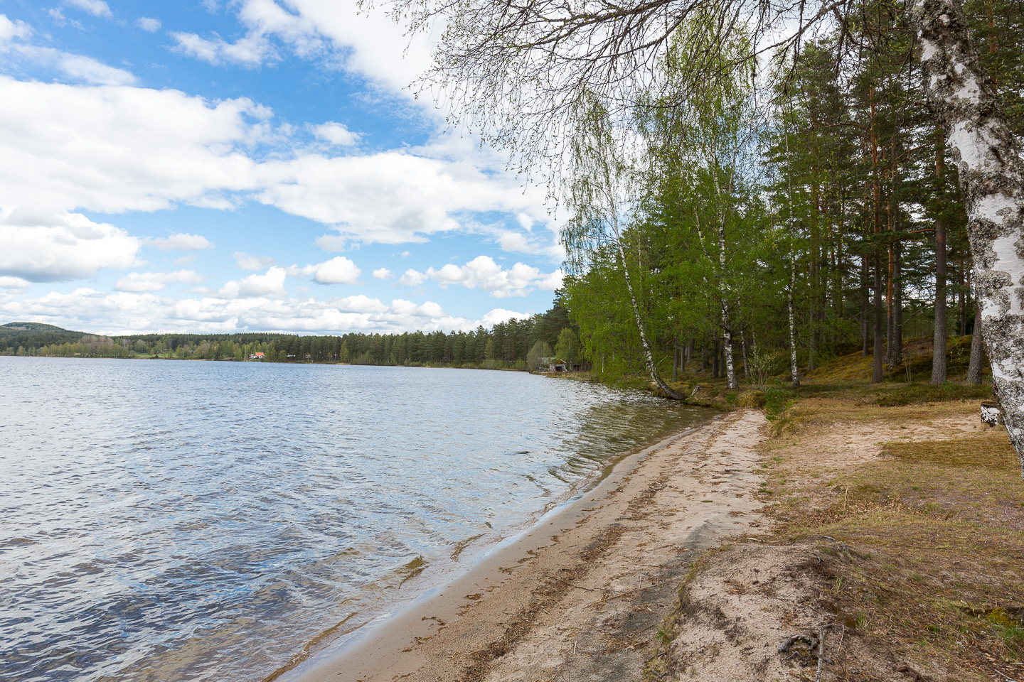 Hedås – bild 8