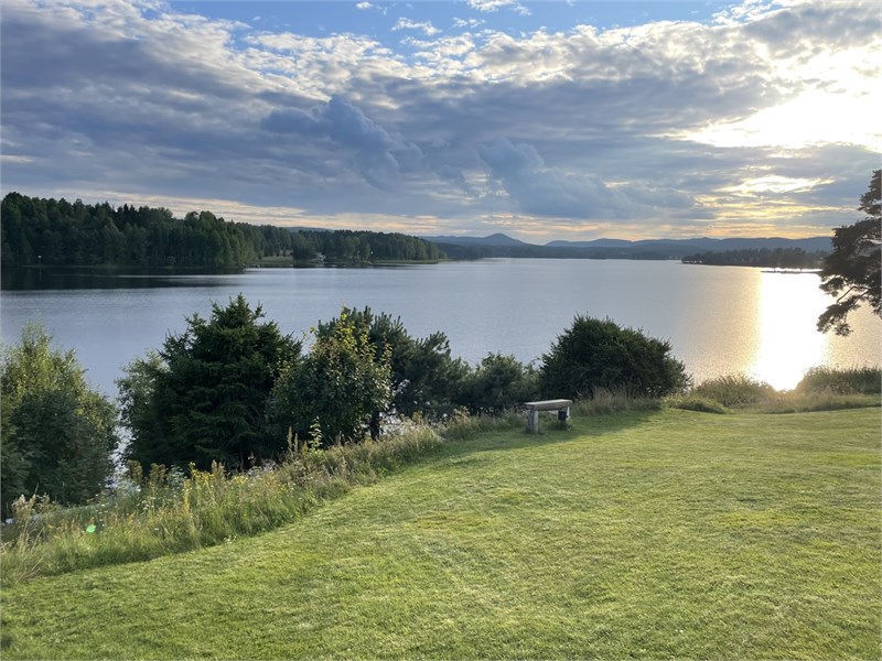 Säljarens bild