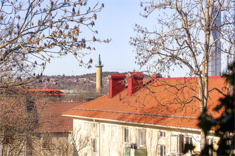 Utsikt från fönstret 