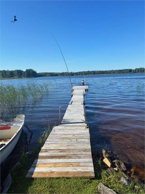 Gemensam brygga, säljarens bild