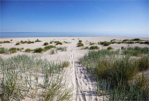 Fårö Bondans 1:8