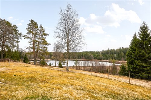 Rogivande utsikt över tjärn och natur från tomten