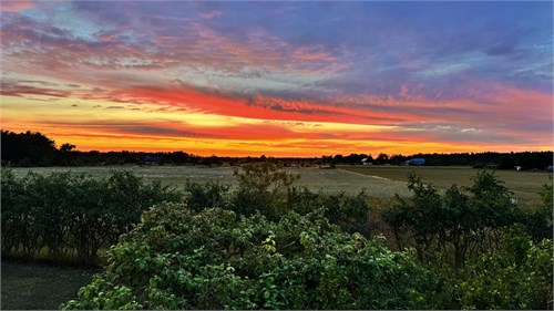 Magiskt i Ronehamn - Säljarbild