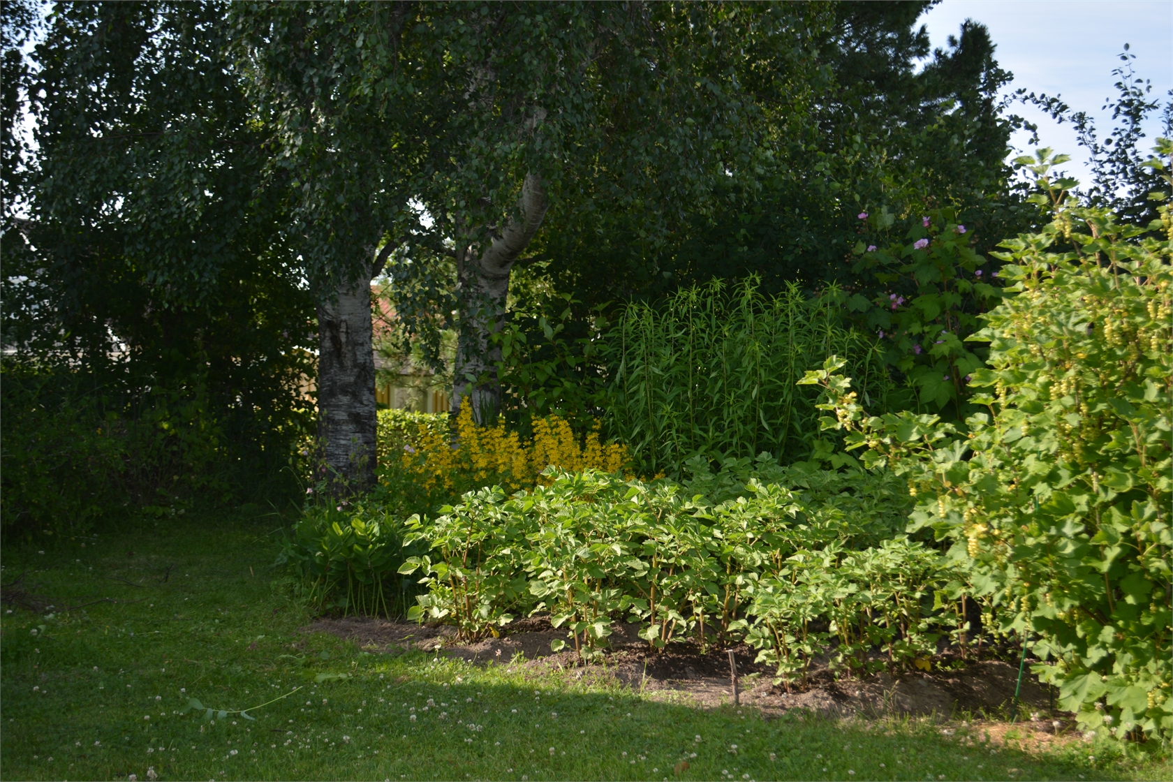 Basvägen 4 – bild 42
