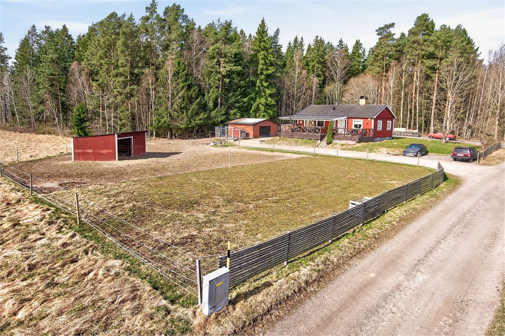 Bettna-Löta Furulid 