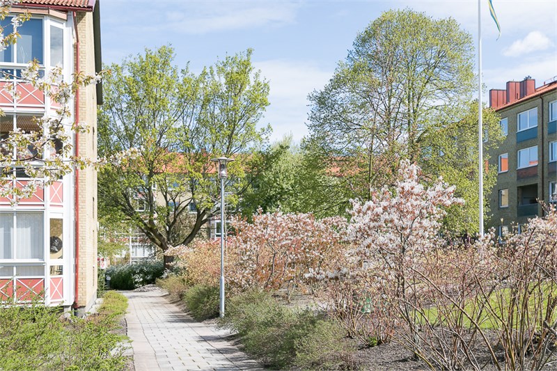 Områdesbilder sommar