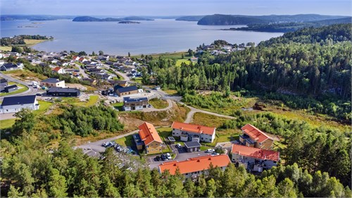 Drönarbild