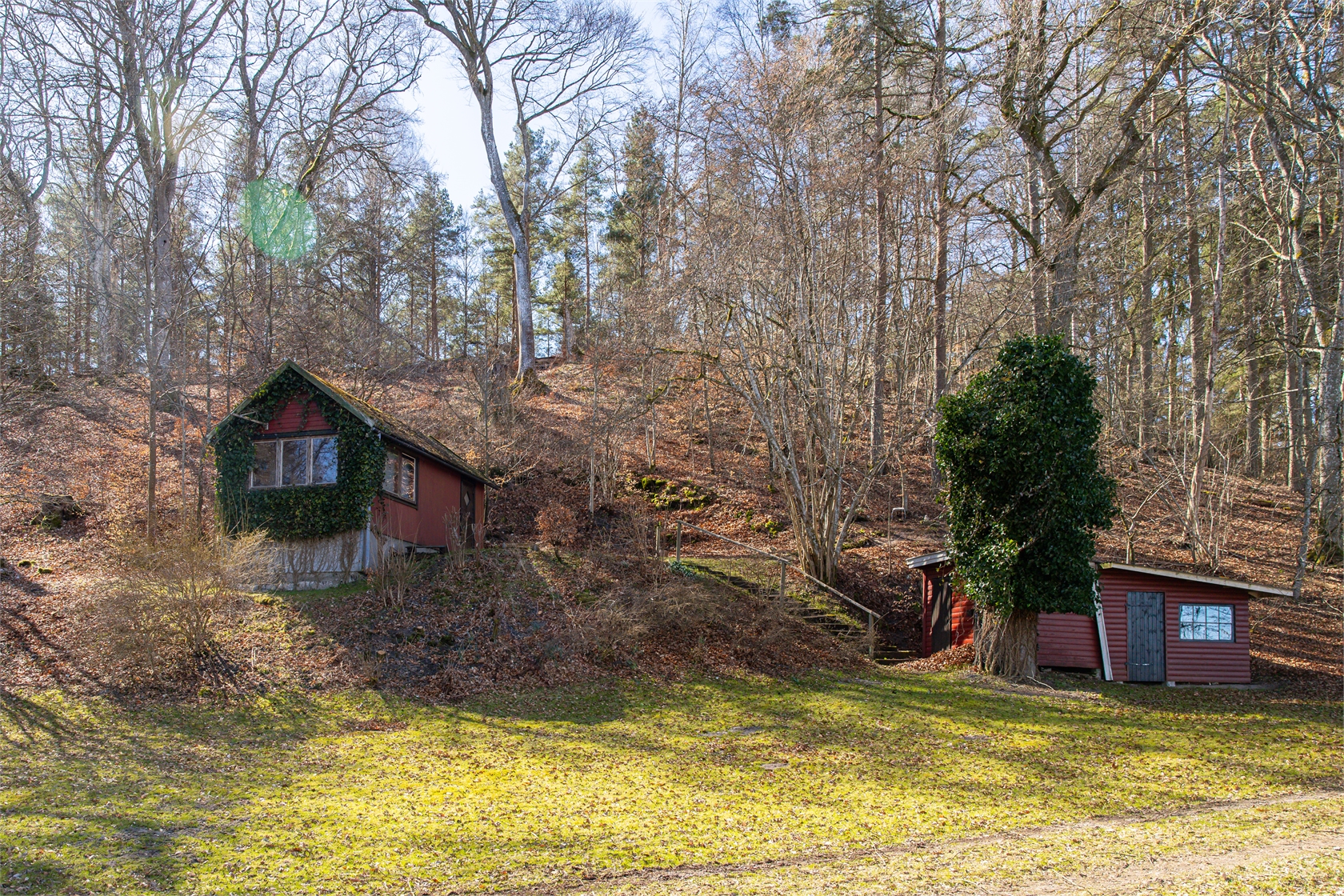 Äskebäskan 294 – bild 14