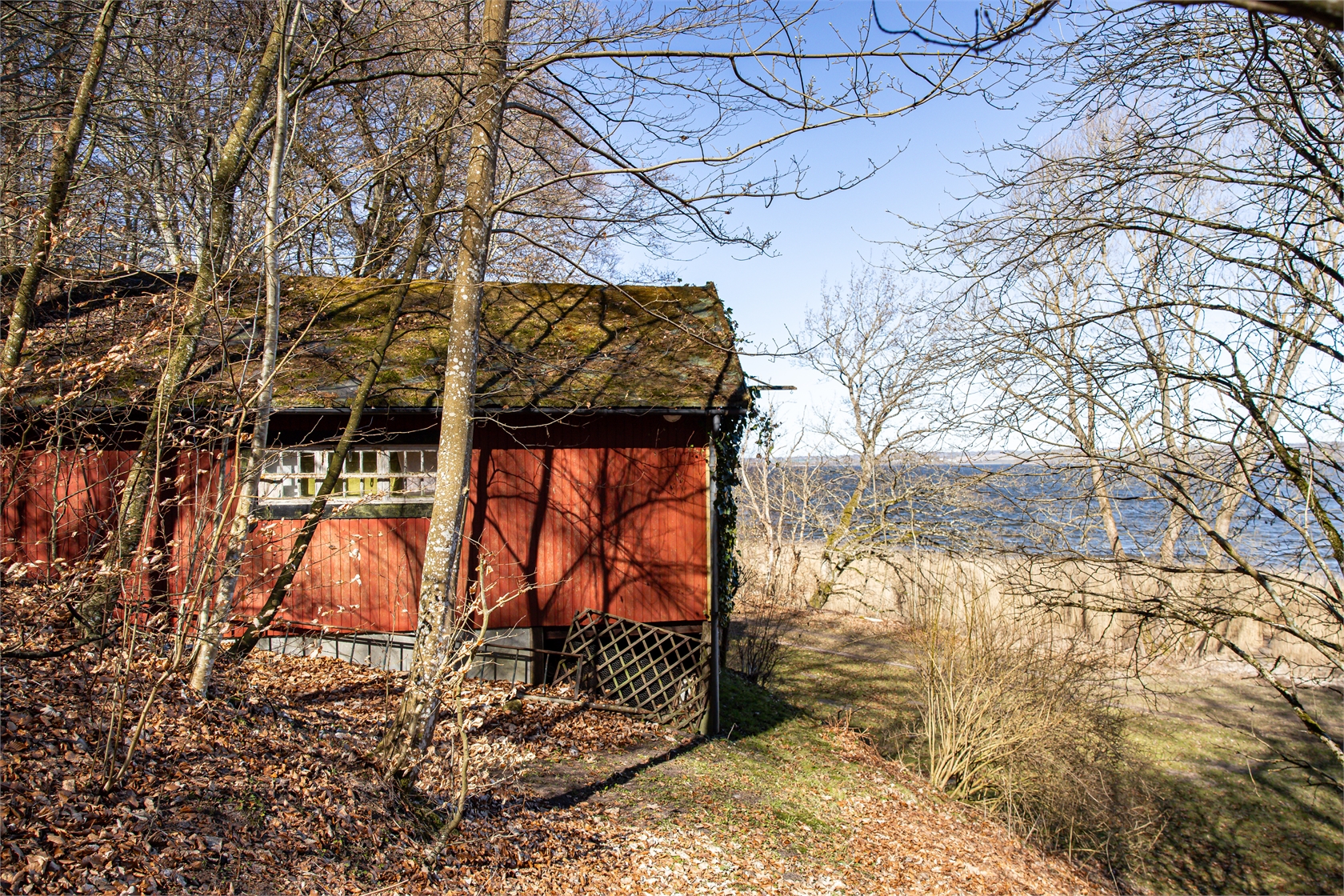 Äskebäskan 294 – bild 15