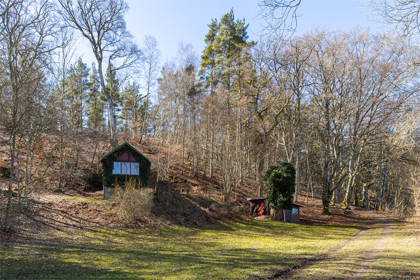 Äskebäskan 294 – bild 19