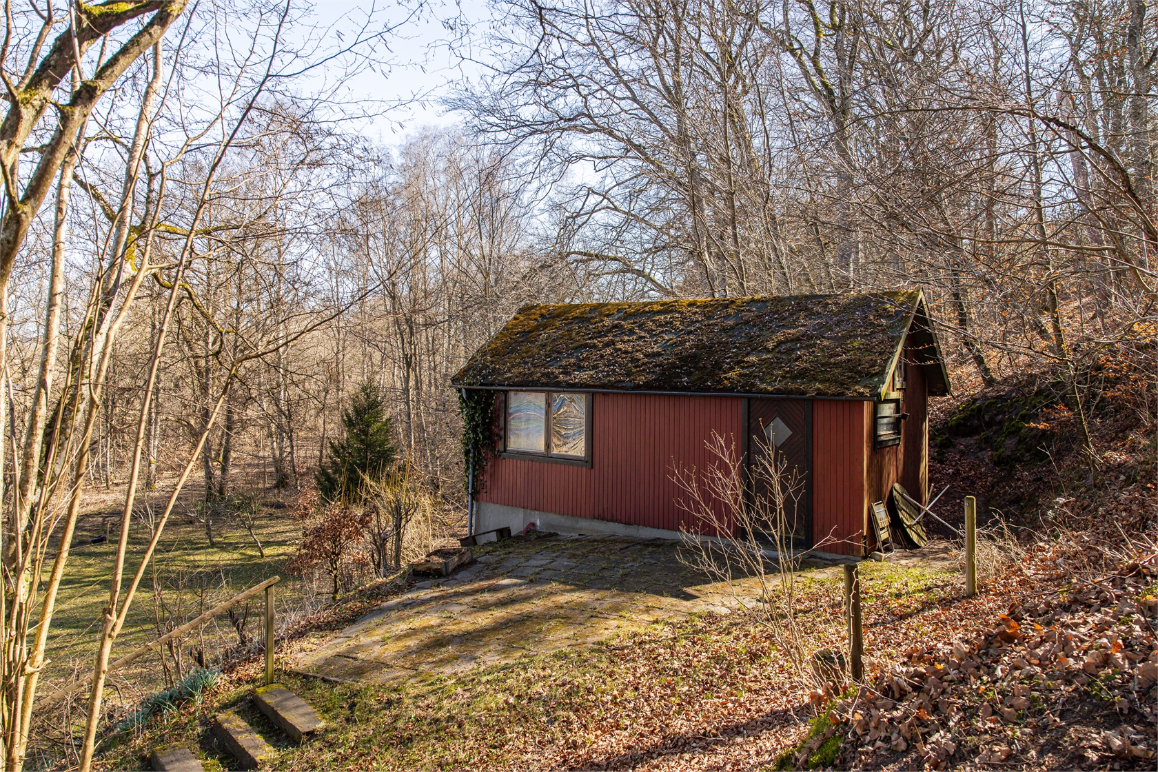 Äskebäskan 294 – bild 16